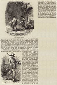 Agriculture in France by Charles Emile Jacque